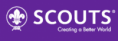 Organização Mundial do Movimento Escoteiro ( WOSM)